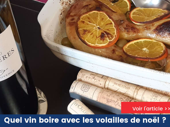 Quel vin boire avec les volailles de noël ?